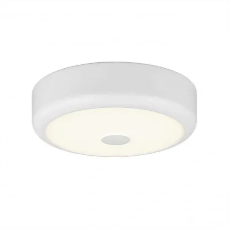 Накладные светильники CITILUX CL706110 от Магазина Svetdom.by
