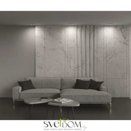 Встраиваемые светильники Maytoni DL024-2-02B от Магазина Svetdom.by