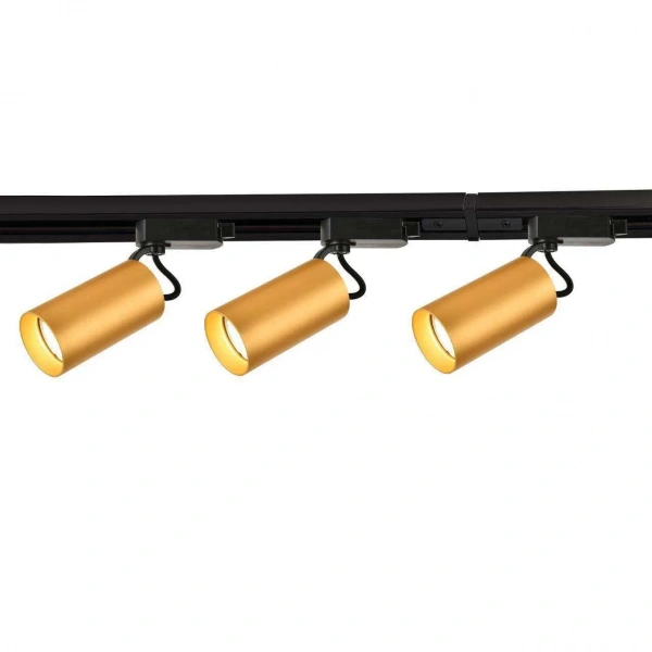 Потолочные светильники Favourite 4019-3U от Магазина Svetdom.by