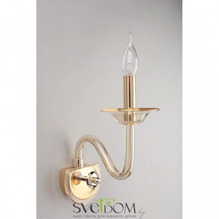 Настенные светильники APL.730.01.01 Aployt | Svetdom.by