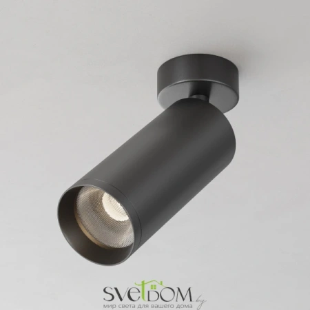 Потолочный светильник Technical C017CW-01B-N Maytoni
