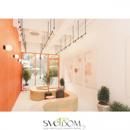 TR206-1-3W3K-B Maytoni