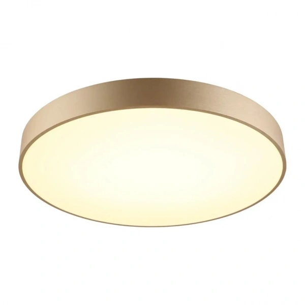 Настенно-потолочные светильники Aployt APL.023.07.68 от Магазина Svetdom.by