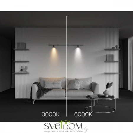 Светильники Maytoni C103CL-5W3-6K-B от Магазина Svetdom.by