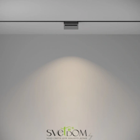 TR075-2-10W4K-B Maytoni