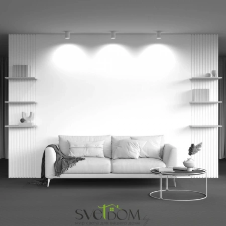 Потолочные светильники Maytoni C012CL-01W от Магазина Svetdom.by