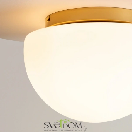 Потолочные светильники Maytoni MOD270CL-01G от Магазина Svetdom.by