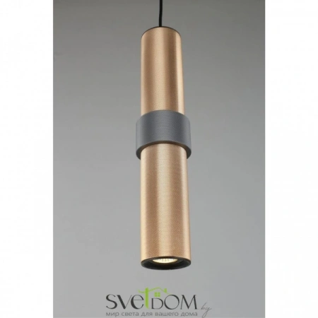 Подвесные светильники Aployt APL.614.16.01 от Магазина Svetdom.by