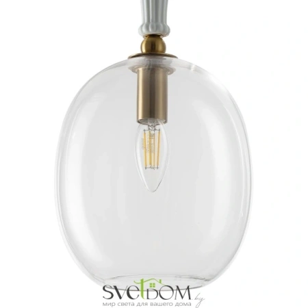 CITILUX CL254410 FERNET Подвес CITILUX