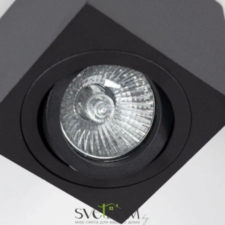 CL538213 CITILUX