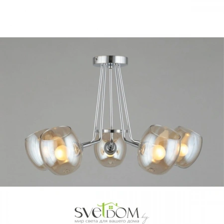 Люстры потолочныеOML-27307-05 Omnilux | Svetdom.by