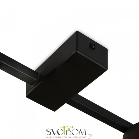 Потолочные светильники Freya FR5363CL-02B от Магазина Svetdom.by