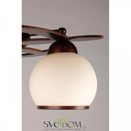 Люстры потолочныеOML-50507-03 Omnilux | Svetdom.by