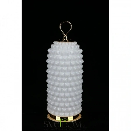 APL.332.04.10 Aployt