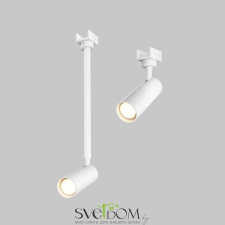 O-TR01-1-S-8WW3K Maytoni