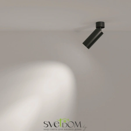 Потолочные светильники Maytoni C055CL-L12B3K-W-B от Магазина Svetdom.by