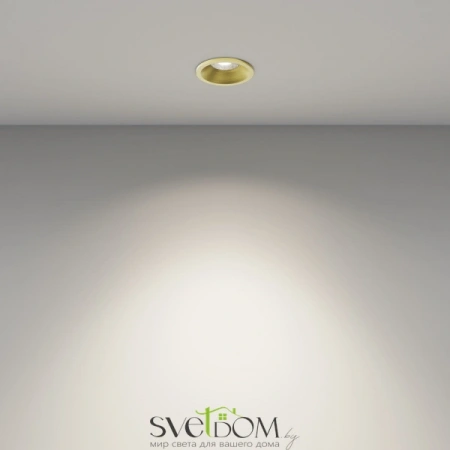 Встраиваемые светильники Maytoni DL059-7W4K-BS от Магазина Svetdom.by