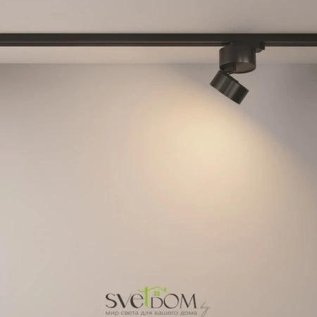 TR007-1-12W3K-B Maytoni