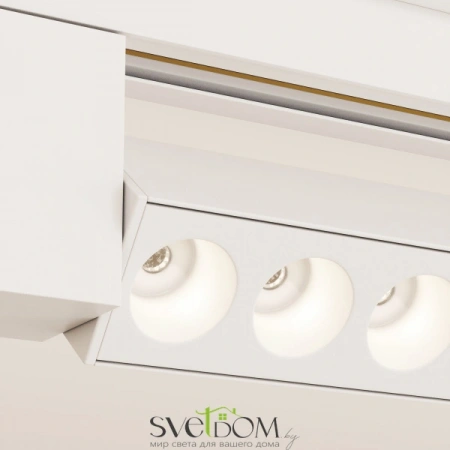 TR010-1-20W4K-M-W Maytoni