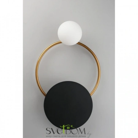 Настенные светильники APL.306.01.02 Aployt | Svetdom.by
