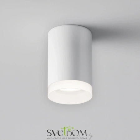 Потолочные светильники Maytoni C008CW-01W от Магазина Svetdom.by