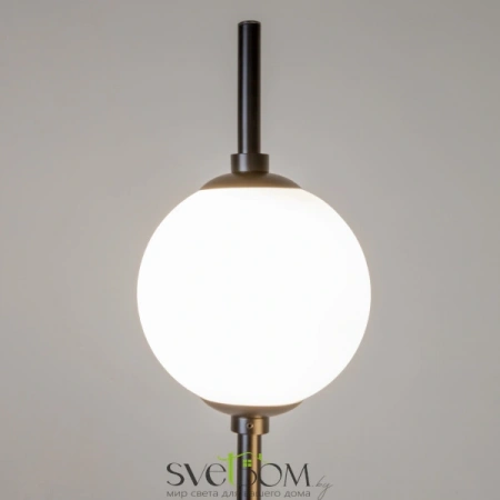 Z020FL-L12BK Maytoni