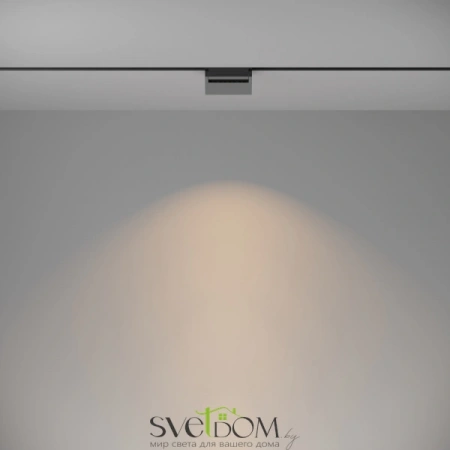 TR013-2-10W3K-B Maytoni