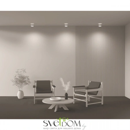 Потолочные светильники Maytoni C009CW-L12W от Магазина Svetdom.by