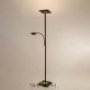 Citilux Харди CL802015 LED Торшер с диммером Кофейный CITILUX