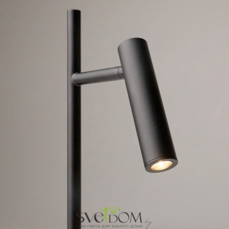 Напольный светильник (торшер) Maytoni Z010FL-L8B3K Maytoni