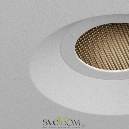 Встраиваемые светильники Maytoni DL136-GU10-W от Магазина Svetdom.by