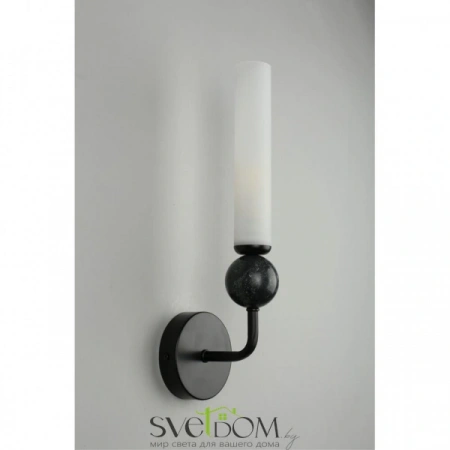 Настенные светильники APL.339.01.01 Aployt | Svetdom.by