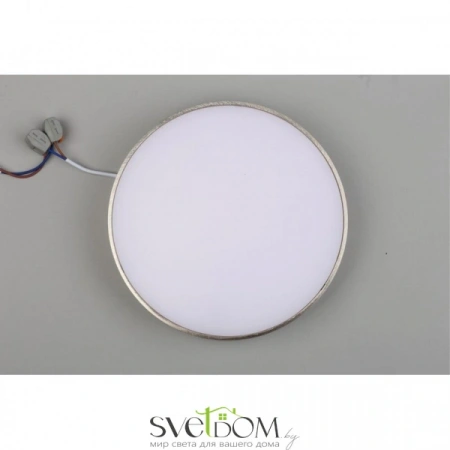 Настенно-потолочные светильники Aployt APL.0114.19.24 от Магазина Svetdom.by