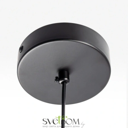 CITILUX CL202042 ORTON Шампань Подвес CITILUX