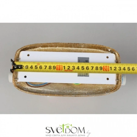 Настенные светильники APL.800.01.02 Aployt | Svetdom.by