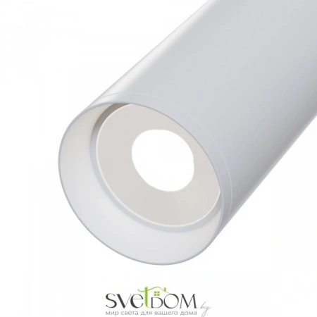 Фото Потолочные светильники Maytoni C017CW-01W Потолочные светильники Maytoni C017CW-01W от Магазина Svetdom.by