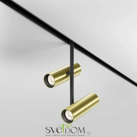 TR005-2-2X12W3K-BBS Maytoni