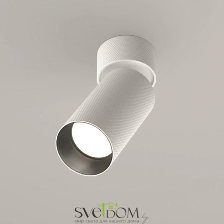 Потолочные светильники Maytoni C082CL-01-GU10-W от Магазина Svetdom.by