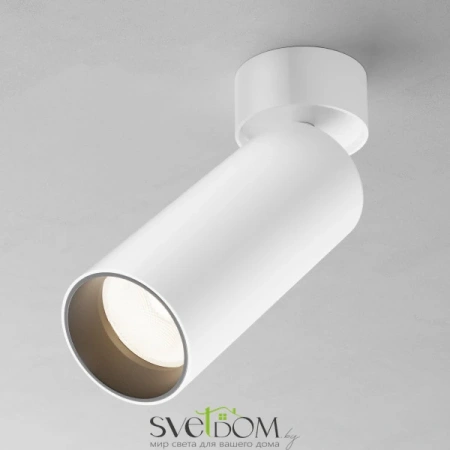 Потолочные светильники Maytoni C055CL-L20W2.7-3-4K-M-W от Магазина Svetdom.by