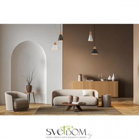 Подвесные светильники Maytoni P359-PL-220-C от Магазина Svetdom.by