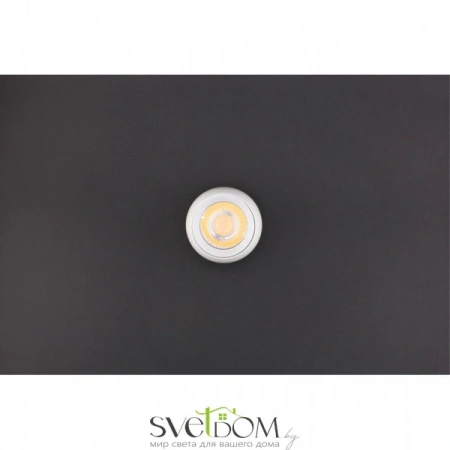 Накладные светильники Aployt APL.0055.19.05 от Магазина Svetdom.by