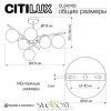 Люстры на штангеCL242163 CITILUX | Svetdom.by