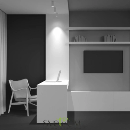 Потолочные светильники Maytoni C052CL-01W от Магазина Svetdom.by