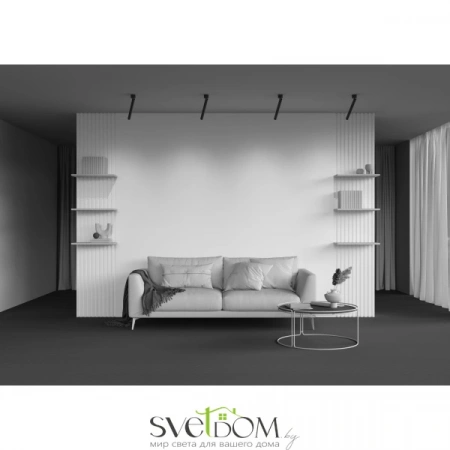 Потолочные светильники Maytoni C141CL-L300-6W3K-B от Магазина Svetdom.by