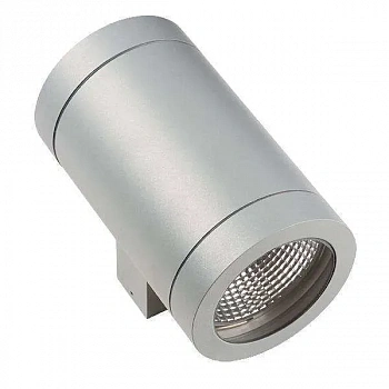 Lightstar 351619 Светильник PARO 2xDR111 СЕРЫЙ IP65