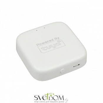 Трековое управление Aployt  APL.0295.00.01