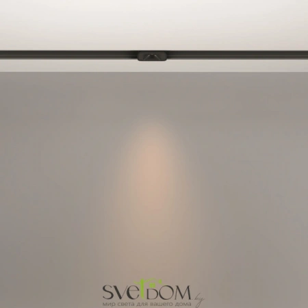 TR100-2-2W3K-S-B Maytoni