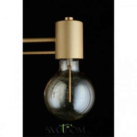 Люстры потолочныеAPL.911.07.09 Aployt | Svetdom.by