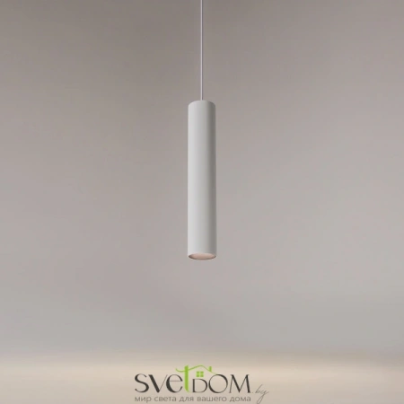 Подвесные светильники Maytoni P082PL-GU10-W от Магазина Svetdom.by