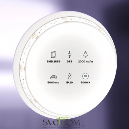 Светодиодная лента 24В 2835 20Вт/м 6000K 5м IP20 10156